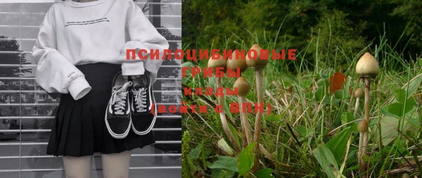 ПСИЛОЦИБИНОВЫЕ ГРИБЫ Липки